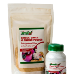 Ginger, Garlic, Onion powder